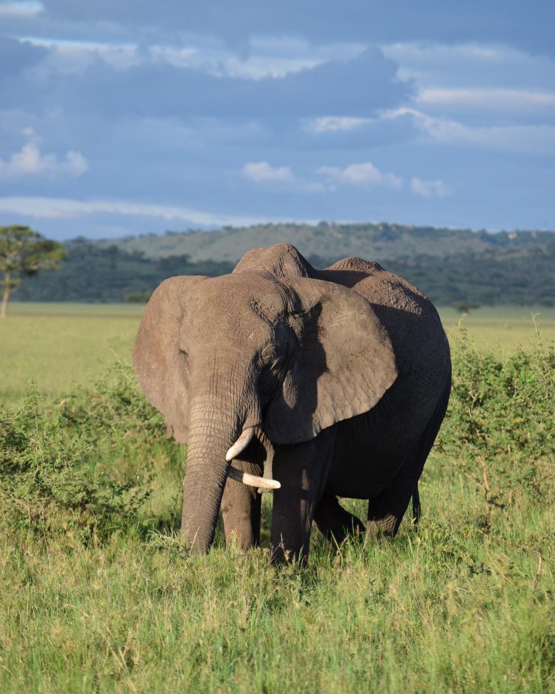 Trip Types | Mbugu Adventure &Safaris