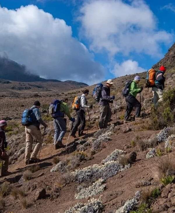 KILIMANJARO CLIMBING
