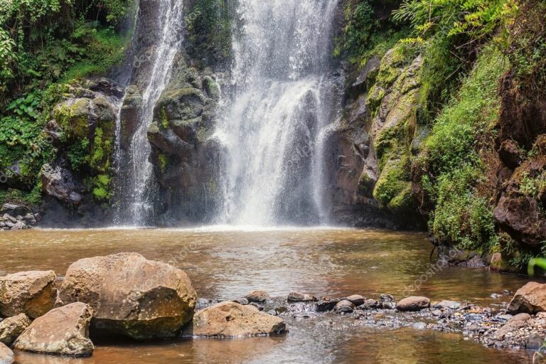 Activities | Mbugu Adevnture &Safaris