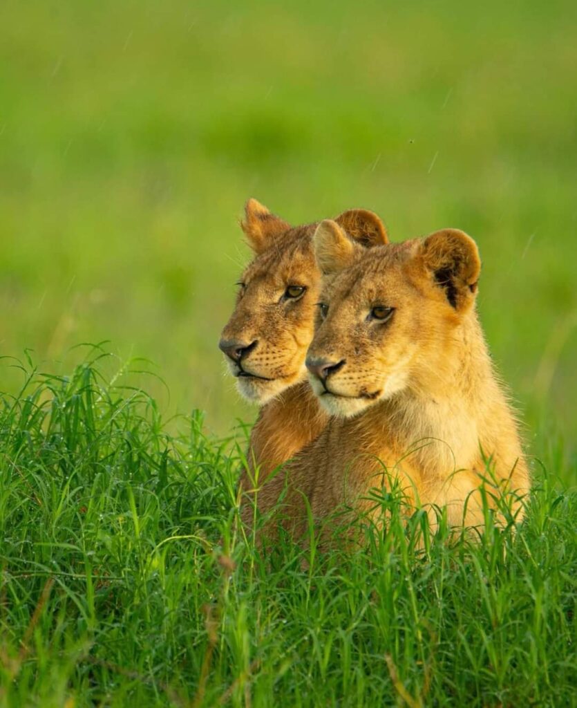 Contact Us | Mbugu Adventure &Safaris