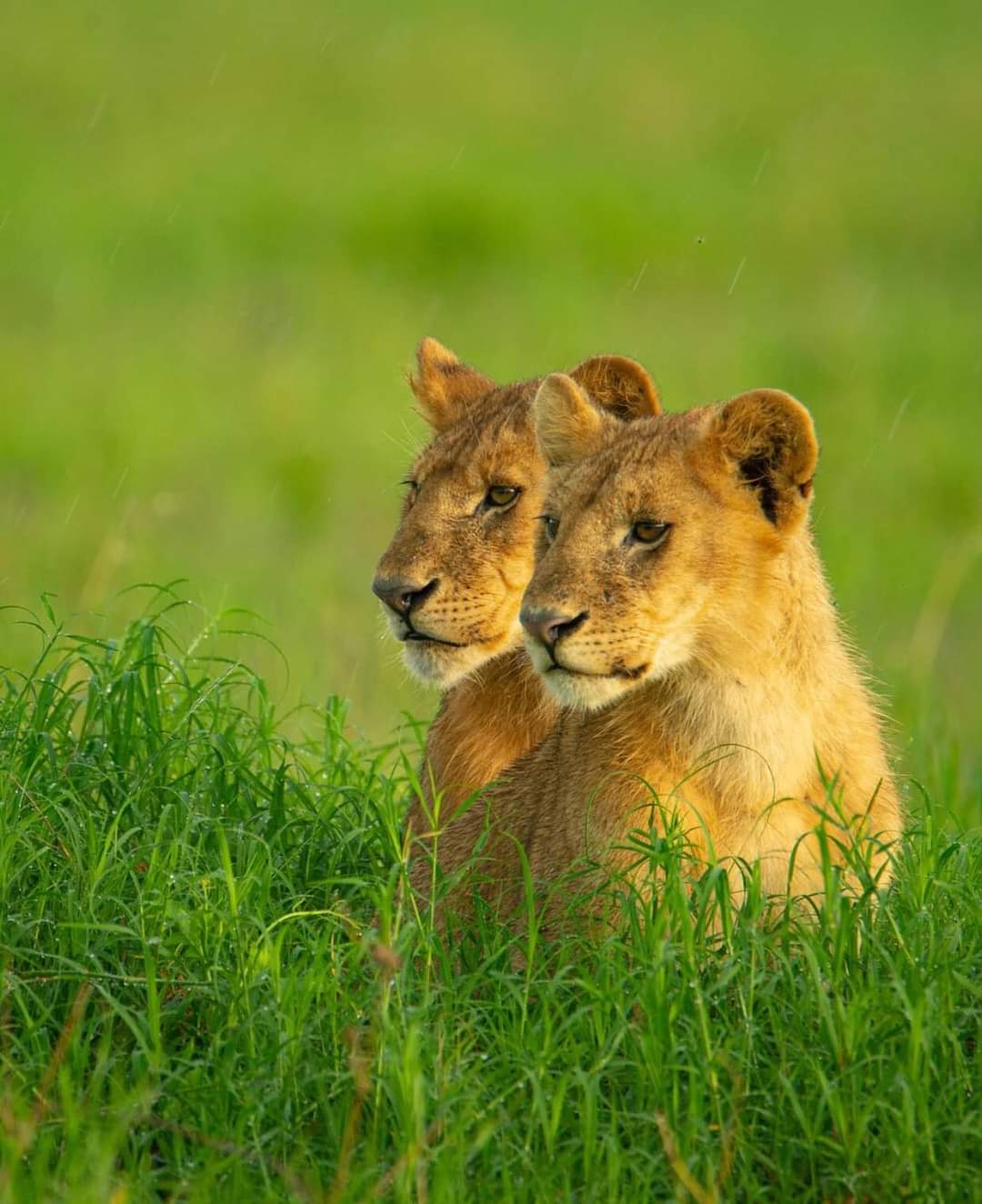 Contact Us | Mbugu Adventure &Safaris