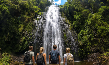 One Day Safari | Mbugu Adventure &Safaris