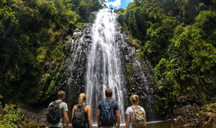 One Day Safari | Mbugu Adventure &Safaris