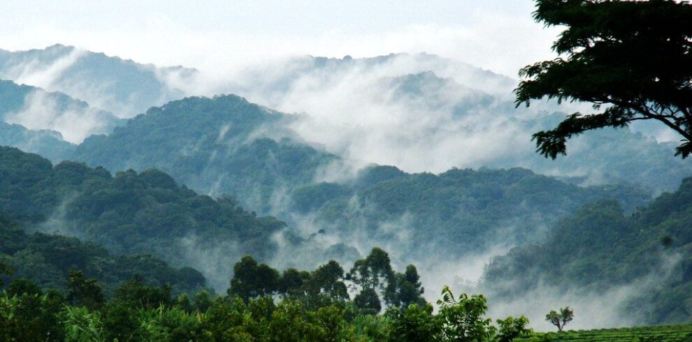 Bwindi-Impenetrable-National-Park1-1024×576