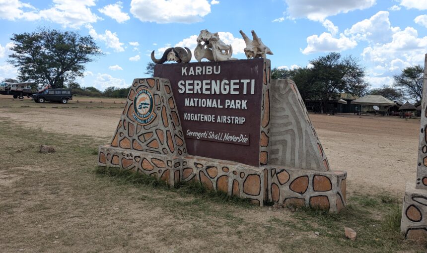 Serengeti National Park Guide: The Ultimate Tanzania Safari Experience 🦁🌍