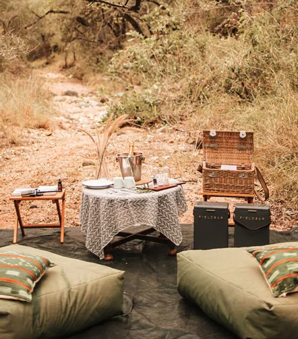 bush picnic