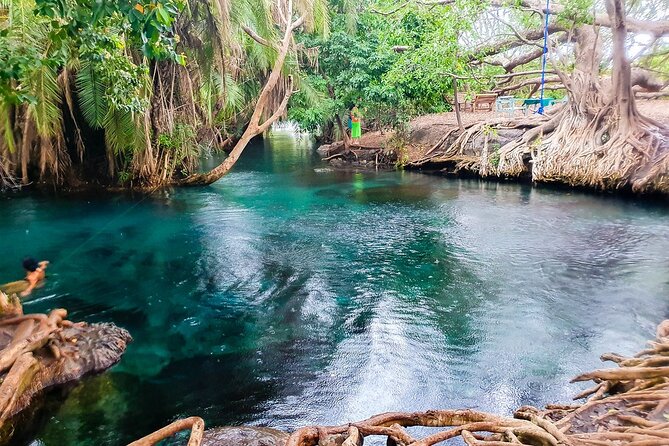 Crystal clear turquoise water at Kikuletwa Hot Springs surrounded by lush tropical trees in Tanzania.