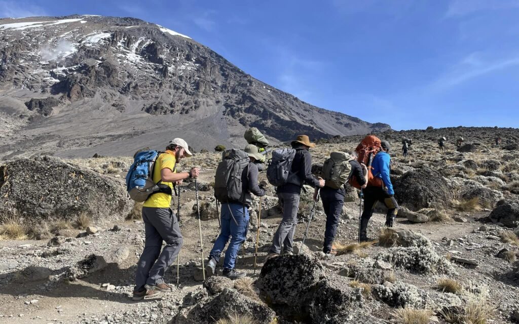 Trekker hiking along a scenic trail during a Mount Kilimanjaro climb under a clear sky.