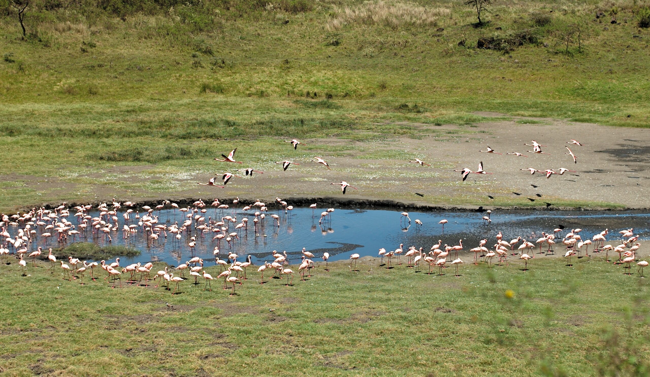 Scenic view of the tranquil Momela Lakes reflecting the surrounding landscape in Tanzania