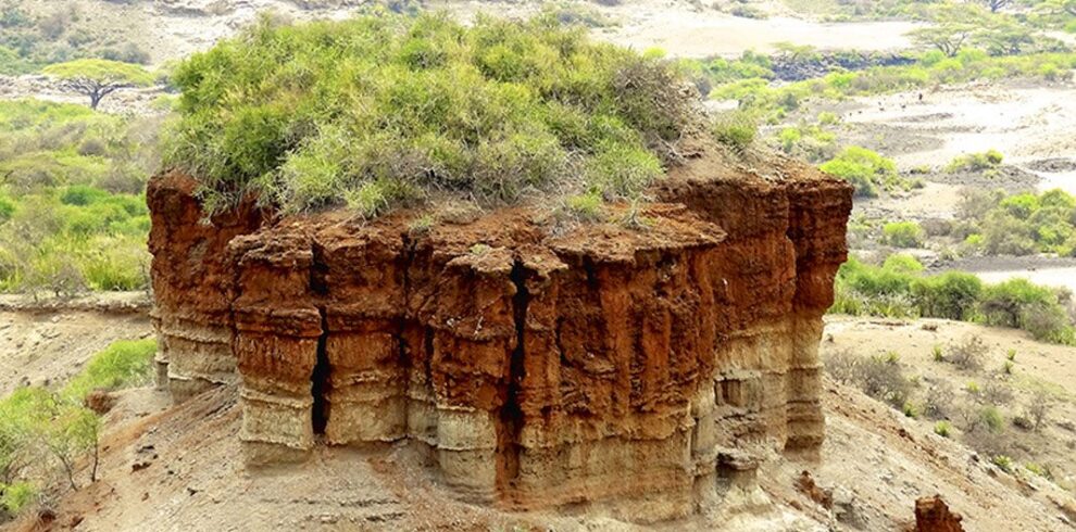 Panoramic view of the arid Olduvai Gorge landscape in Tanzania during a wildlife safari.